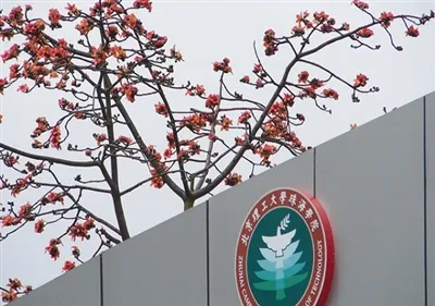 New Order Express|Bancurile de testare pentru aviație au câștigat oferta de l...